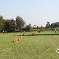 IMG_828353