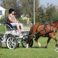 IMG_828360
