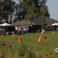 IMG_828366
