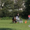 IMG_828371