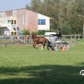 IMG_828377