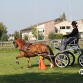 IMG_828379
