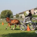 IMG_828380