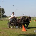 IMG_828381
