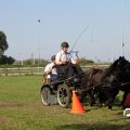 IMG_828382