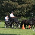 IMG_828383