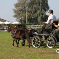 IMG_828384