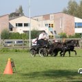 IMG_828388