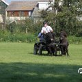 IMG_828389