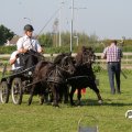 IMG_828394