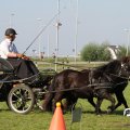 IMG_828395