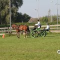 IMG_828396