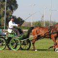 IMG_828397