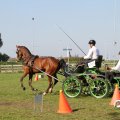 IMG_828400