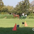 IMG_828406