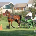 IMG_828410