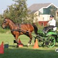 IMG_828411