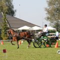 IMG_828412
