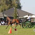 IMG_828413