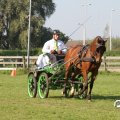 IMG_828414