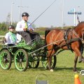 IMG_828415