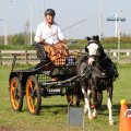 IMG_828419
