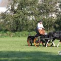 IMG_828420