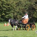 IMG_828421