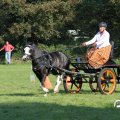 IMG_828422