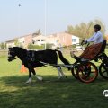 IMG_828424
