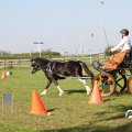 IMG_828426
