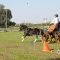 IMG_828427