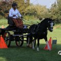 IMG_828431