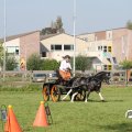 IMG_828433