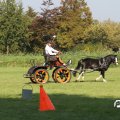 IMG_828435