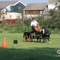 IMG_828436