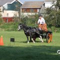 IMG_828437