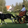 IMG_828441