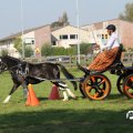 IMG_828442