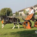 IMG_828443
