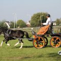 IMG_828444