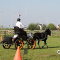 IMG_828445