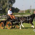 IMG_828447
