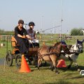 IMG_828453