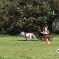 IMG_828454
