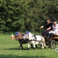 IMG_828457