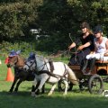 IMG_828458
