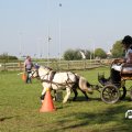 IMG_828459