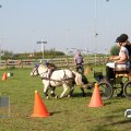 IMG_828460