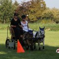 IMG_828463
